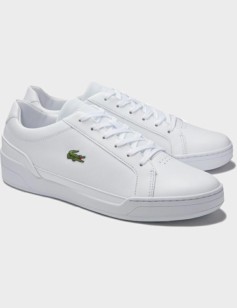 Lacoste 0120 Sm - Denim and